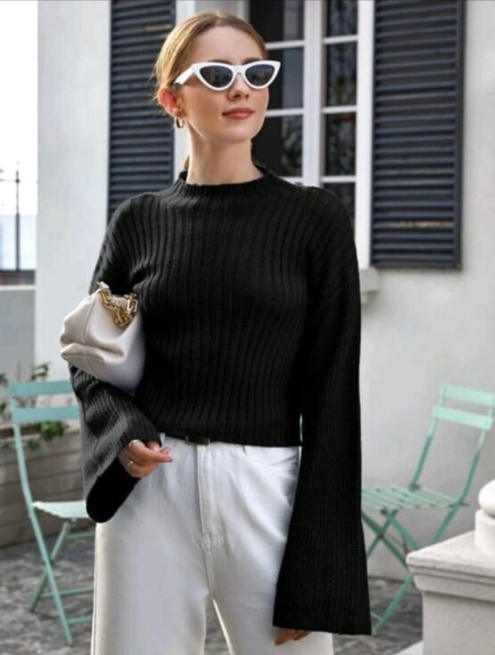 Turtleneck Casual Plain Raglan Sleeve Sweater
