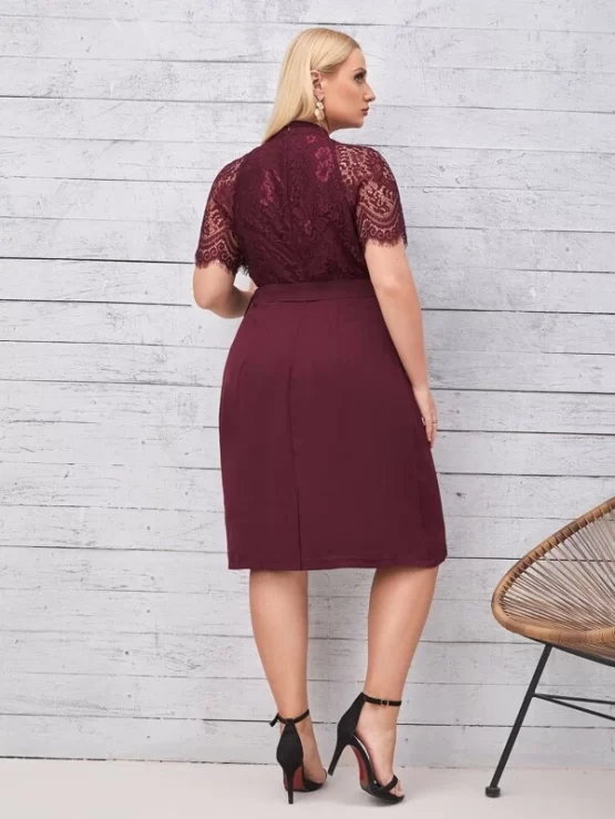 Plus Stand Neck Eyelash Lace Panel Belted Dress - Image 3