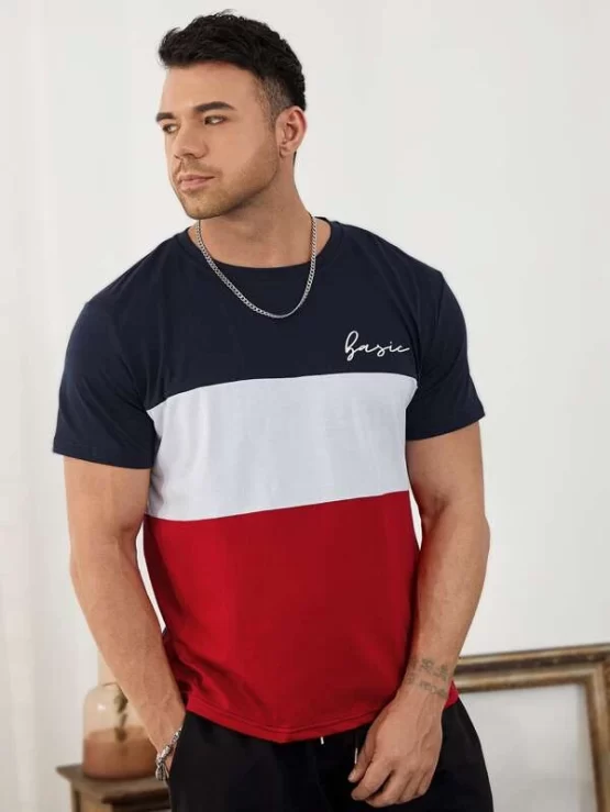 Extended Sizes Men Letter And Color Block Tee