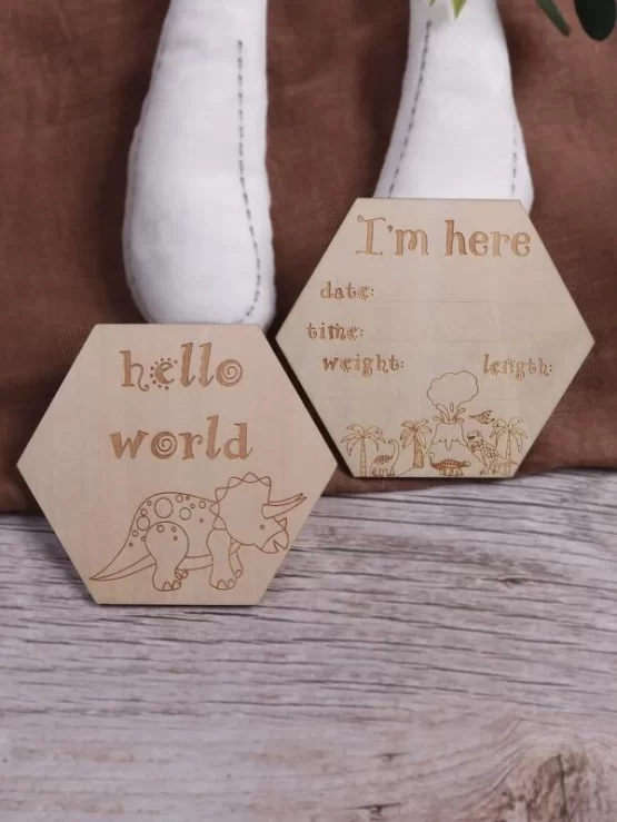 Newborn Two Pieces Slogan & Dinosaur Print Photography Prop