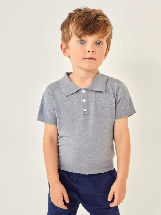 Toddler Boys Polo Button Front Neck Knit Top