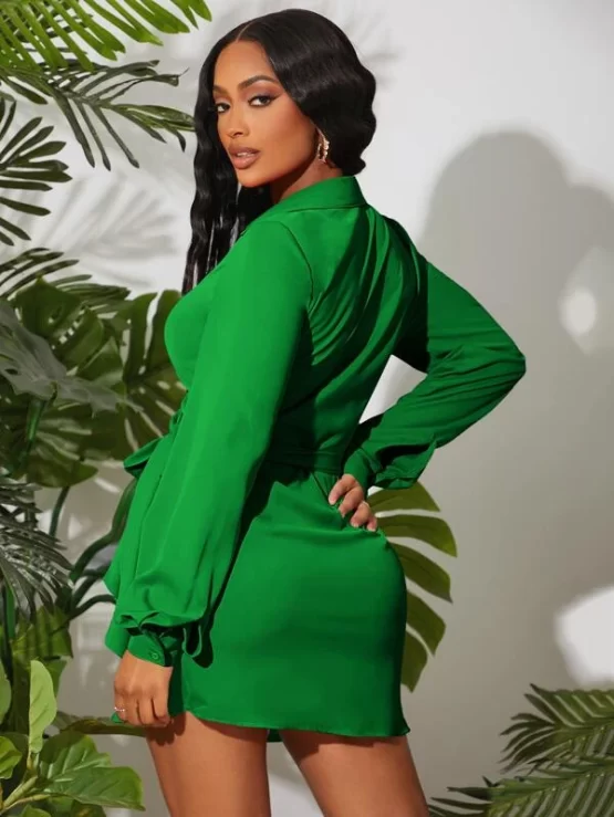Collared Plain Casual Knot Side Wrap Dress - Image 6