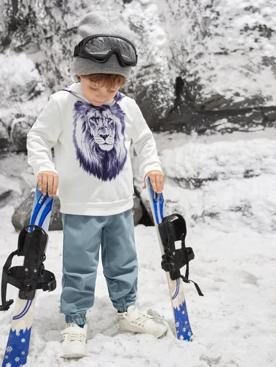 Toddler Boys Lion Print Hoodie & Sweatpants