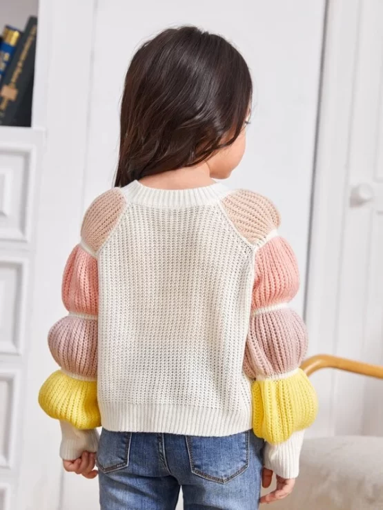Toddler Girls Color Block Gathered Sleeve Detail Sweater - Image 2