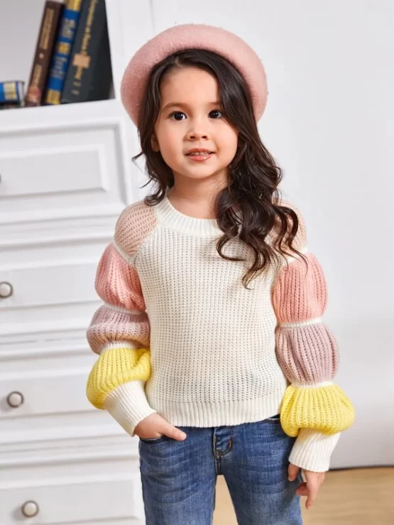 Toddler Girls Color Block Gathered Sleeve Detail Sweater