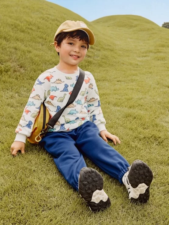 Toddler Boys Dinosaur Print Pullover & Sweatpants