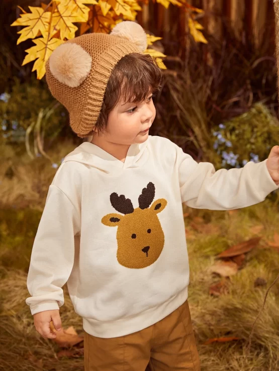 Toddler Boys Animal Embroidery Graphic Hoodie