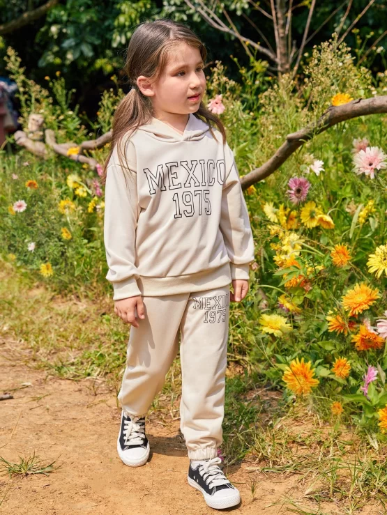 Toddler Girls Letter Graphic Drop Shoulder Hoodie & Sweatpants
