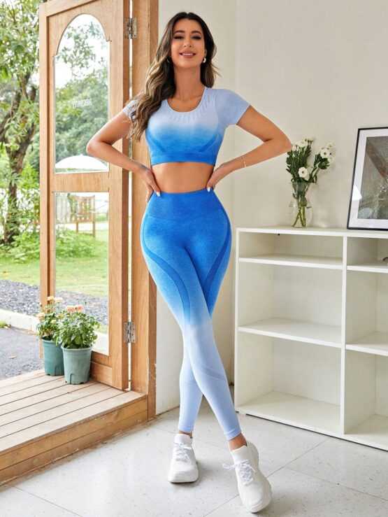 Seamless Sleeve High Stretch Ombre Sports Set - Image 2