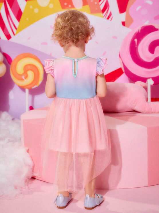 Baby A Line  Flared Ombre Overlay Mesh Dress - Image 3